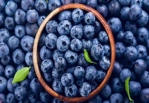 El SUPERALIMENTO DE MODA